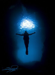 “Underwater majesty,  Unending inspiration”  by Nicholas Samaras 